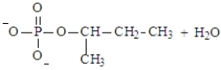 <strong>Predict the products of the following reaction. Assume the pH is 7. </strong> A) B) C) D) E)Both a and d could form at pH 7.