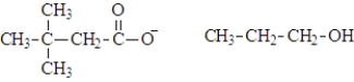 <strong>What are the products of the hydrolysis of the following compound at physiological pH? </strong> A) B) C) D)