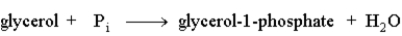 <strong>The following reaction is driven by the breakdown of ATP, what is the single chemical equation that combines these two reactions? </strong> A) B) C) D)