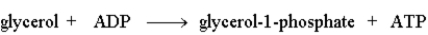 <strong>The following reaction is driven by the breakdown of ATP, what is the single chemical equation that combines these two reactions? </strong> A) B) C) D)