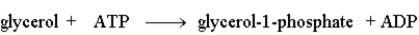 <strong>The following reaction is driven by the breakdown of ATP, what is the single chemical equation that combines these two reactions? </strong> A) B) C) D)