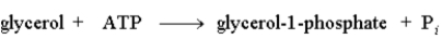 <strong>The following reaction is driven by the breakdown of ATP, what is the single chemical equation that combines these two reactions? </strong> A) B) C) D)