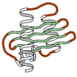 Consider a protein at 25 °C which is heated to 48 °C then cooled back to 25 °C. The following shows schematically the protein structure at these three temperatures, respectively. 25 °C 48 °C 25 °C Based on this information, the enzyme activity will return at the final temperature (25 °C).