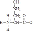 <strong>The amino acid shown below maybe associated with ALS (Lou Gehrig's disease) and Parkinson's disease. Which of the following is the zwitterion ion form of the uncommon amino acid?</strong> A) B) C) D)