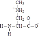 <strong>The amino acid shown below maybe associated with ALS (Lou Gehrig's disease) and Parkinson's disease. Which of the following is the form of this amino acid at a physiological pH?</strong> A) B) C) D) E)None of these