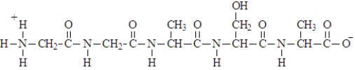 <strong>What is the three-letter representation for the peptide given below? </strong> A)Ala-Ser-Ala-Gly-Gly B)Gly-Gly-Ala-Ser-Ala C)Gly-Ala-Ser D)Gly-Ala-Ser-Ala