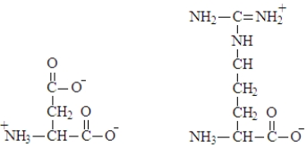 <strong>What type of interaction would occur between the side chains of the two amino acids shown below? </strong> A)ion-ion attraction B)disulfide bridge C)hydrophobic interaction D)hydrophilic interaction