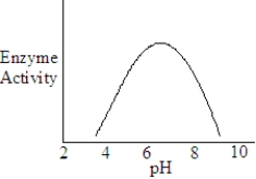 <strong>The following represents the results of an experiment on a metabolic enzyme. What is the optimum pH of this enzyme?</strong> A)3.0 B)5.5 C)6.5 D)9.5