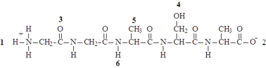 Consider the structure shown below. Fill in the blanks with an integer (1,2,3,4,5....)as shown in the diagram or to represent a specified number. The free carboxylate group is represented by the number _____________________.