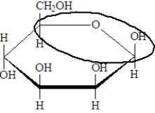 <strong>What is the name of the functional group enclosed in the oval in the following structure?  </strong> A)acetal B)glycoside C)hemiacetal D)ether <div style=padding-top: 35px> 