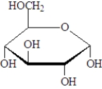 <strong>The following structure represents:  </strong> A)a ketose and a beta anomer. B)a ketose and an alpha anomer. C)an aldose and a beta anomer. D)an aldose and an alpha anomer. <div style=padding-top: 35px> 