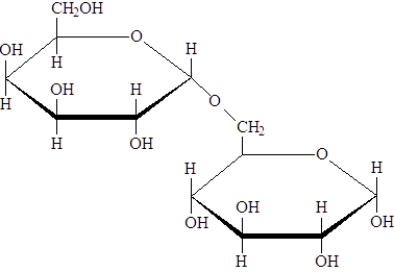 <strong>Examine the structure below.   This compound:</strong> A)would hydrolyze to produce two different monosaccharides. B)would react with Benedict's solution to produce a red precipitate. C)would represent the α anomer of the disaccharide. D)All of these characterize this structure. <div style=padding-top: 35px> 