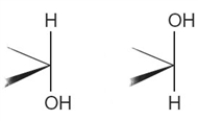 <strong>Monosaccharides whose ring-structures that differ only as shown below on the ring carbon next to the oxygen   are called</strong> A)constitutional isomers. B)anomers. C)enantiomers. D)cis-trans isomers. <div style=padding-top: 35px> 