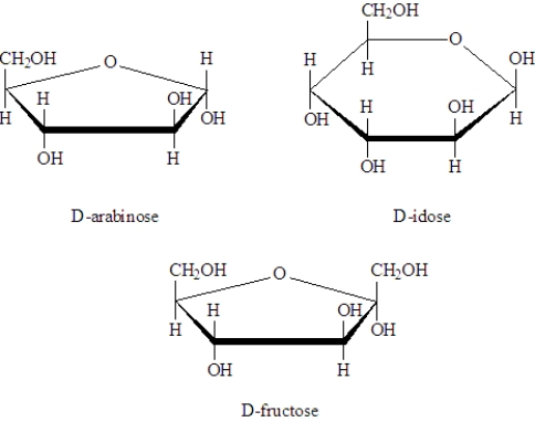 Examine the following structures.   Fill in the blanks with the appropriate term from the list below. arabinose idose fructose Oxidation of ______________________ would produce  <div style=padding-top: 35px> 