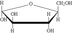 Examine the following structures.   Fill in the blanks with the appropriate term from the list below. arabinose idose fructose ___________________ is an enantiomer of the following molecule.  <div style=padding-top: 35px> 