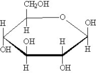 Draw the open chain structure of the following monosaccharide.  <div style=padding-top: 35px> 