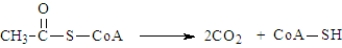 <strong>The following is the net reaction for which catabolic pathway?  </strong> A)glycolysis B)electron transport C)oxidative decarboxylation D)oxidative phosphorylation E)citric acid cycle <div style=padding-top: 35px> 