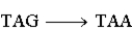 <strong>Which of the following DNA coding substitution mutations would be the least harmful to a cell based on their effect on the corresponding polypeptide?</strong> A) B) C) D)