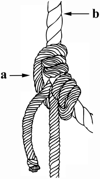 32.In the diagram identify which part is the lifeline and which is the lanyard: