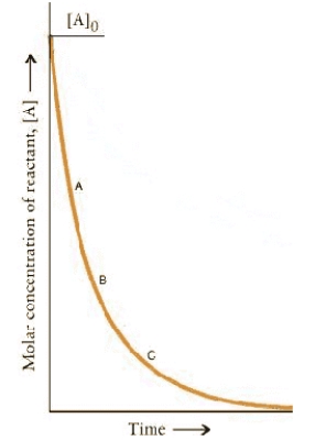 <strong>The concentration-time dependence for a first-order reaction is:   At which point on the curve is the reaction fastest?</strong> A)A B)B C)C D)A + t<sub>½</sub> E)The rates are the same at all points. <div style=padding-top: 35px> 