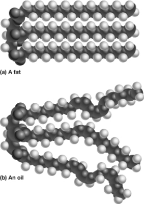 As shown in this figure, the top triglyceride (a) has_________ , whereas the bottom triglyceride (b) has _________.  