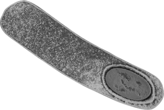 The bacterium in the figure contains a(n)  