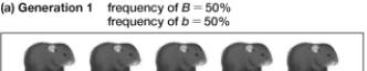 Based on the information shown in the figure, what do you predict the fourth generation will look like?