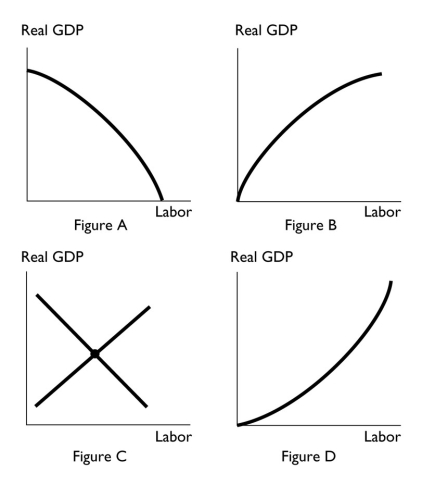 <strong> The above figure that most accurately shows a production function is</strong> A) Figure A. B) Figure B. C) Figure C. D) Figure D. E) Both Figure A and Figure B; Figure A for an economy with an excess of labor and Figure B for an economy with a shortage of labor.