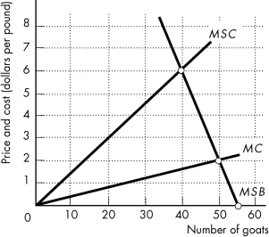 -The above figure shows the marginal private cost curve,marginal social cost curve,and marginal social benefit curve for raising goats on a common pasture.If property rights to the pasture are granted to a farmer so that the farmer owns the pasture,the farmer raises ________.