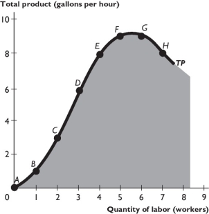 The figure above shows a firm's total product curve. -Which of the points show efficient production points?