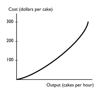   -The graph shows a