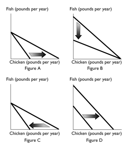 <strong> Which of the above figures reflects an increase in the consumer's budget?</strong> A) Figure A B) Figure B C) Figure C D) Figure D E) Both Figure A and Figure D