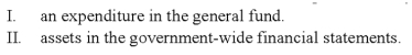 Works of art and historical treasures purchased by the general fund should be reported as:
