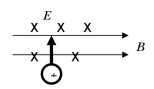 <strong>What is the direction of the net force on the moving charge in figure shown? </strong> A)into the page B)right C)out of the page D)left