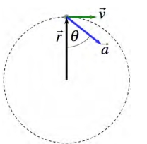<strong>The figure represents the velocity and the acceleration of a particle moving clockwise in a circle of radius 25.0 cm.At a certain instant of time,the magnitude of its acceleration,a = is 16.0 m/s<sup>2</sup> and it makes an angle \theta = 20<sup> \circ </sup> with position vector as shown in the figure.At this instant,what is the magnitude of the angular acceleration of the particle? </strong> A)3.75 rad/s<sup>2</sup> B)1.37 rad/s<sup>2</sup> C)60.1 rad/s<sup>2</sup> D)21.9 rad/s<sup>2</sup> E)1.46 rad/s<sup>2</sup>