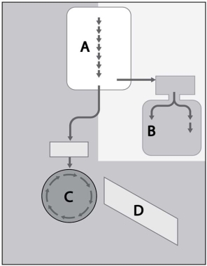 <strong> Identify the processes of glucose metabolism represented in Figure 5 -1.</strong> A) A = glycolysis, B = fermentation, C = Krebs cycle, D = electron transport chain. B) A = fermentation, B = glycolysis, C = Krebs cycle, D = electron transport chain C) A = glycolysis, B = Krebs cycle, C = electron transport chain, D = fermentation. D) A = electron transport chain, B = Krebs cycle, C = glycolysis, D = fermentation E) A = glycolysis, B = Krebs cycle, C = fermentation, D = electron transport chain