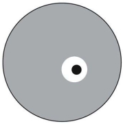 <strong> This figure represents a Petri plate. The gray area is where bacteria A is growing. The black area is where bacteria B is growing. The white area is a zone where neither organism is growing. What is the best interpretation of what is observed on the plate?</strong> A) Bacteria A grows faster than bacteria B. B) Bacteria B is producing an antibiotic that inhibits the growth of bacteria A. C) Bacteria A produces a compound that inhibits the growth of bacteria B. D) Bacterial colony B has depleted the nutrients in the area around the colony. E) No conclusion can be made from this information.