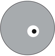 <strong> This figure represents a Petri plate. The gray area is where bacteria A is growing, the black area is where bacteria B is growing. The white area is a zone where neither organism is growing. What is the best interpretation of what is observed on the plate?</strong> A) Bacteria A produces a compound that inhibits the growth of bacteria B. B) Bacterial colony B has depleted the nutrients in the area around the colony. C) Bacteria A grows faster than bacteria B. D) Bacteria B is producing an antibiotic that inhibits the growth of bacteria A. E) No conclusion can be made from this information.
