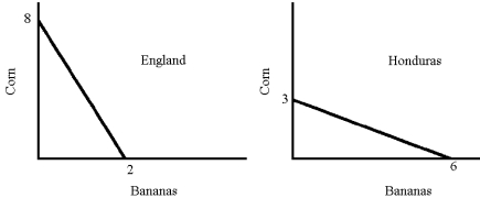Figure 22-6 -From the graph in Figure 22-6,the opportunity cost of a unit of bananas is