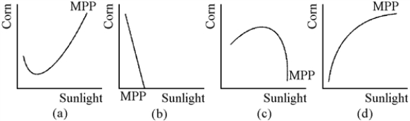 Figure 7-12 -Which of the graphs in Figure 7-12 shows a marginal physical product curve that exhibits first increasing, and then diminishing, marginal returns to sunlight?