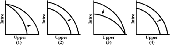 Figure 3-5 -At present, faculty in the Economics Department teach introductory and upper-level courses.Which graph in Figure 3-5 represents the change in the production possibilities of the Economics Department after a policy of using graduate students in addition to faculty to teach introductory sections was implemented?
