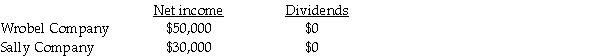 On January 1,2011,Wrobel Company acquired a 90 percent interest in Sally Company for $270,000.On January 1,2011,Sally's total stockholders' equity was $300,000.The fair value and book value of Sally's individual assets and liabilities were equal. On January 2,2011,Sally Company acquired a 10 percent interest in Wrobel Company for $70,000.On January 2,2011,Wrobel's total stockholders' equity was $700,000.The fair value and book value of Wrobel's individual assets and liabilities were equal. For the year ending December 31,2011,the following data is available: The treasury stock method is used to account for the mutual stock holdings between Wrobel and Sally.The separate net incomes do not include investment income. A partial working paper is available for the year ending December 31,2011. Required: Prepare the elimination entries for the year ending December 31,2011. Do not enter them onto the worksheet.Instead,list them below.