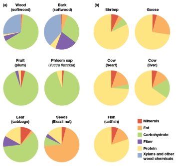 <strong>According to Figure 3.24,a major distinction between the food sources of herbivores and carnivores is that: </strong> A) Plants are primarily sources of carbohydrates, while animals are primarily sources of protein B) Plants and animals are both primarily sources of fiber and fat C) Almost all plant materials shown are high in protein, while all animal products shown are high in fat D) There is no discernable difference between the two food sources