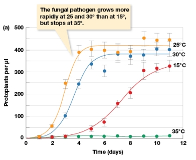 <strong>According to Figure 3.7a,the abundance of protoplasts: </strong> A) Does not differ between any temperature treatment B) Decreases through time when temperatures are between 15-35 degrees Celsius C) Increases more rapidly the first five days when temperatures are between 25-30 degrees Celsius, but not as rapidly when at 15 degrees Celsius D) Increases over time with each temperature regime.