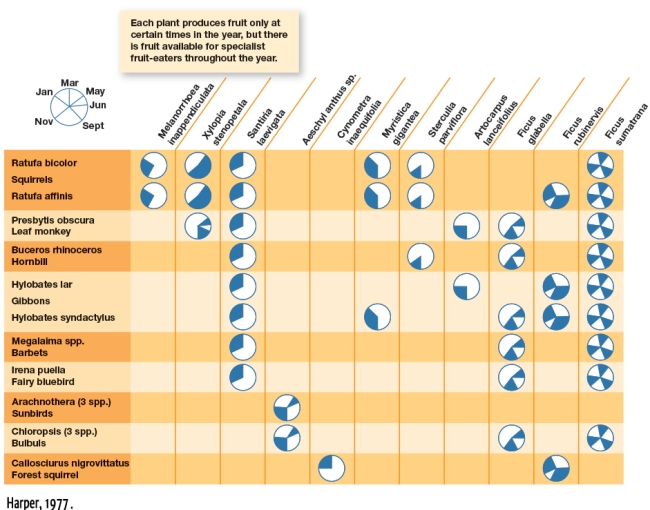 Using Figure 4.12,which animal species would you speculate might be a specialized feeder?