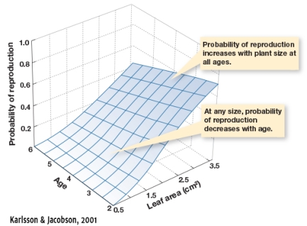 In Figure 5.9,how does probability of reproduction change as a function of leaf area?