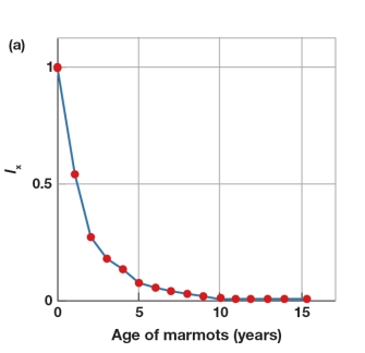 <strong>In Figure 5.11a,how many years pass for a cohort before greater than 50 percent of the cohort is lost?  </strong> A) More than 5 years B) More than 10 years C) Less than 1 year D) Less than 5 years <div style=padding-top: 35px> 