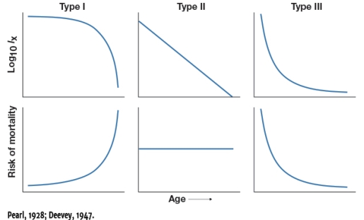 <strong>Based on the survivorship curves shown in Figure 5.13,which depicts circumstances where risk of mortality is greatest at older ages?  </strong> A) Type I B) Type II C) Type III D) Type I and II <div style=padding-top: 35px> 