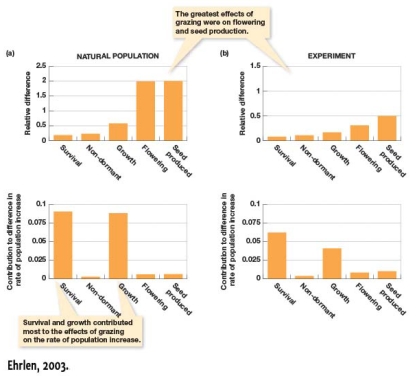 <strong>In Figure 7.1,the effects of mollusk grazing are shown for a number of plant traits in natural and experimental populations.As measured by relative difference,how much greater was seed production in the natural population compared to the experimental population?  </strong> A) It was not greater B) It was approximately equal C) It was 1.5 units greater D) It was greater than 0.475 units <div style=padding-top: 35px> 
