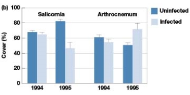<strong>In Figure 7.4b,under which condition does Cuscuta salina significantly affect competitive interactions?  </strong> A) In 1994 when Salicornia is infected with C. salina B) In 1995 when Arthrocnemum is infected with C. salina C) In 1995 when Salicornia is infected with C. salina D) In 1995 when Arthrocnemum is infected with C. salina <div style=padding-top: 35px> 